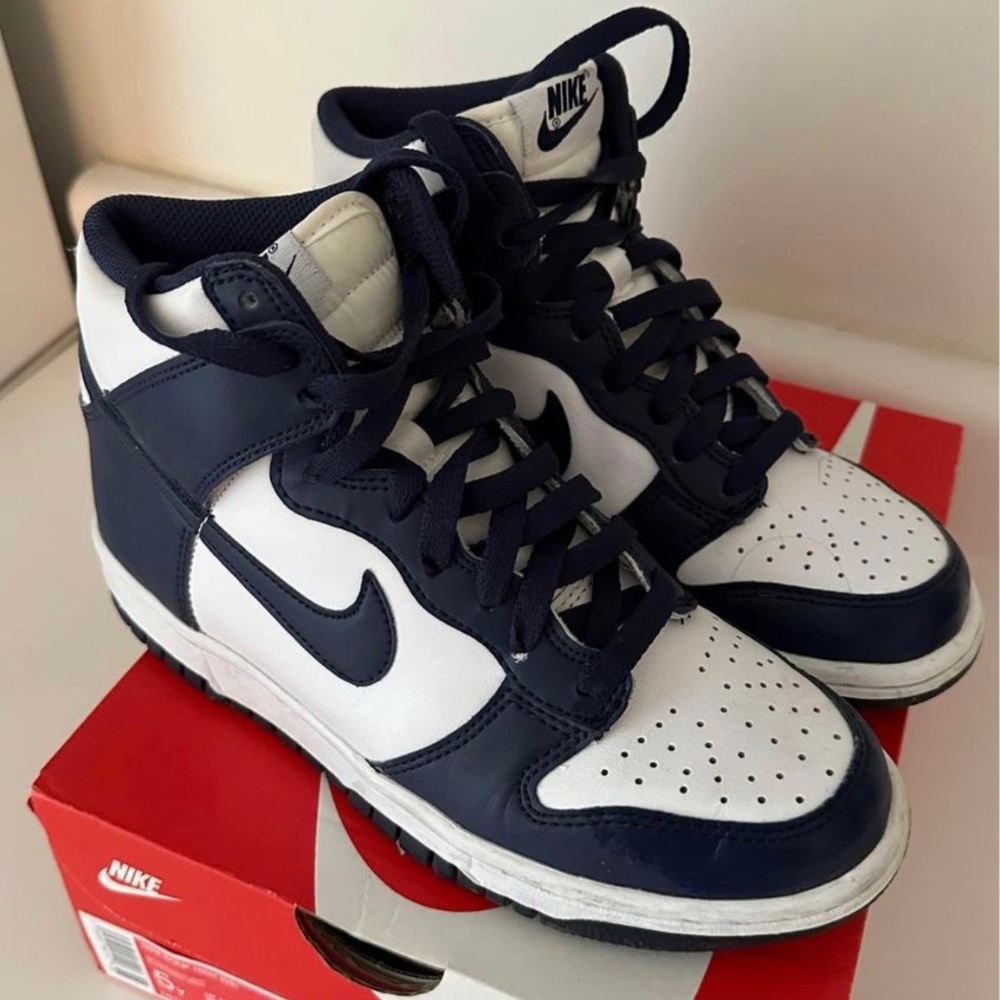 NIKE DUNK HIGH